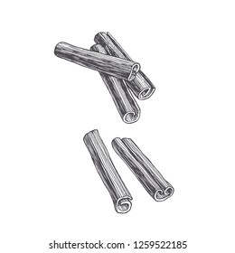 Vector vintage illustration of cinnamon isolated on white. Spice in sketch style.