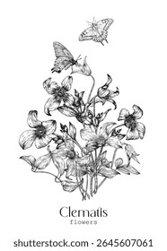 Vetor vintage ilustração Clematis flores buquê e borboletas, preto e branco. Elementos gravados desenhados à mão. Fundo para cartão de saudação de design, decoração de casamento, convite, presente, Dia das Mães