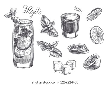 Vector vintage illustration for cocktail recipe. Hand drawn mojito in glass, peppermint leaves, slices of lime, rum and lump sugar. Sketch of ingredients and drink