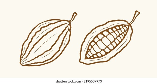 Ilustración vectorial del cacao. Iconos vectoriales del cacao en estilo de dibujo manual.