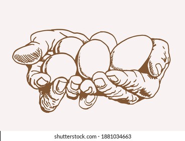 Vector vintage illustration of eggs in arms , sepia background