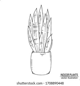 Vector vintage illustration with hand drawn indoor plant. Vector vintage illustration isolated on white background.