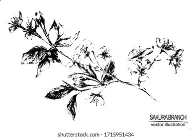 Vector vintage illustration with hand drawn sakura branch. Elements isolated on white background. Black and white sketch with line art.