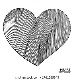 Vector vintage illustration with hand drawn heart made of lines. Elements isolated on white background. 