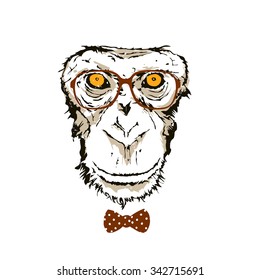 Vector vintage illustration - Monkey with glasses