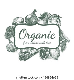 Vector vintage illustration of organic farm products. Hand drawn monochrome illustration vegetables on white background 