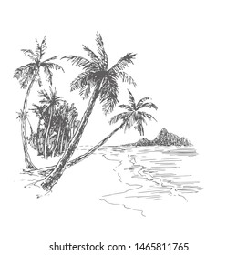 Vector vintage illustration of palm beach in engraving style. Hand drawn ink sketch of tropical landscape with trees and sea. Ocean coast.