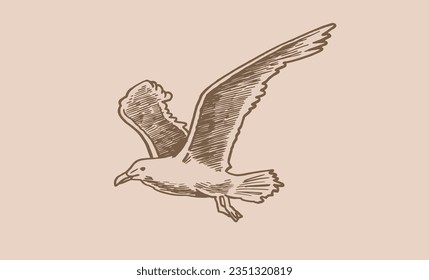 Vector vintage illustration of sea-gull ,graphical drawing of bird