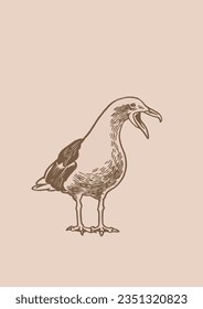 Vector vintage illustration of sea-gull ,graphical drawing of bird