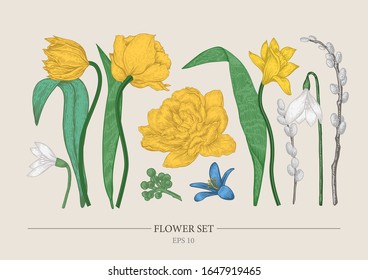 Ilustración vectorial con flores primaverales. Excelente para el diseño de postales, carteles, pegatinas, etc.