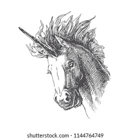 Vector vintage illustration of unicorn in engraving style. Hand drawn portrait of magic animal isolated on white. Fantasy character sketch.