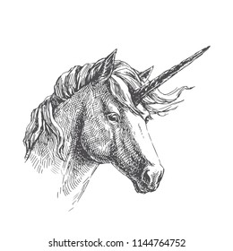 Vector Vintage Illustration Of Unicorn In Engraving Style. Hand Drawn Portrait Of Magic Animal Isolated On White. Fantasy Character Sketch.