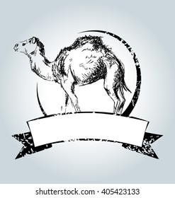 Vector vintage label with camel 