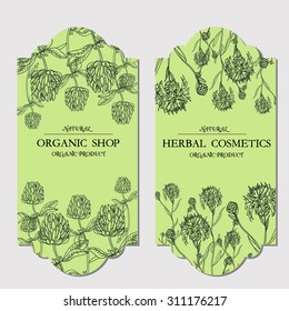 Vector vintage  label template with hand-draw wild flowers and herbs. Layout, mockup design for cosmetics, store,  beauty salon, natural and organic products. With place for text