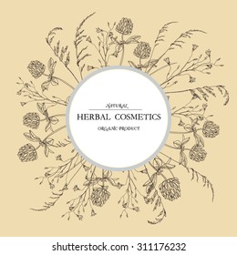 Vector vintage  label template with hand-draw wild flowers and herbs. Layout, mockup design for cosmetics, store,  beauty salon, natural and organic products. With place for text