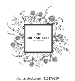 Vector vintage  label template with hand-draw wild flowers and herbs. Layout, mockup design for cosmetics, store,  beauty salon, natural and organic products. With place for text