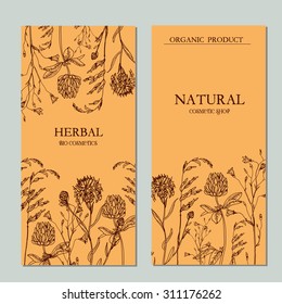 Vector vintage  label template with hand-draw wild flowers and herbs. Layout, mockup design for cosmetics, store,  beauty salon, natural and organic products. With place for text