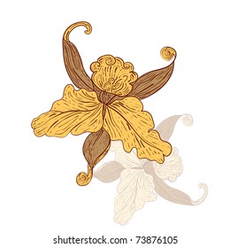 vector vintage lily with its pale reflection
