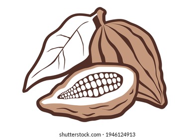 Vector vintage logo with cocoa on isolated background. Vector icon of cocoa bean.