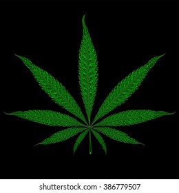 Vector vintage marijuana leaf on a black background