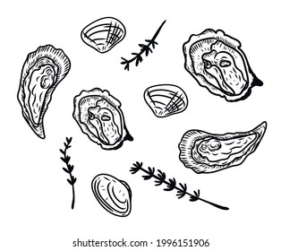 Vector vintage mussel set drawing. Hand drawn monochrome seafood illustration. Great for menu, poster or label.