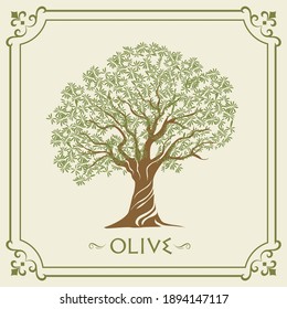 vector vintage olive tree illustration