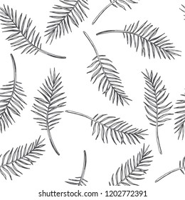 Vector vintage palm leaf in engraving style. Hand drawn botanical illustration of tropical plant branch isolated on white. Floral sketch.