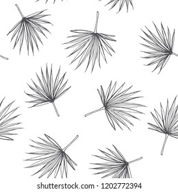 Vector vintage palm leaf in engraving style. Hand drawn botanical illustration of tropical plant branch isolated on white. Floral sketch.
