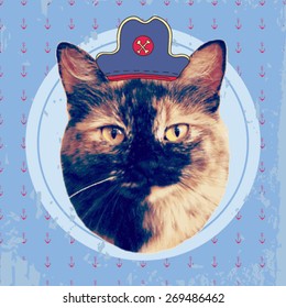 vector vintage pirate cat