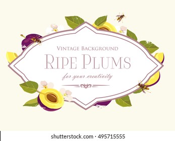 vector vintage plum background