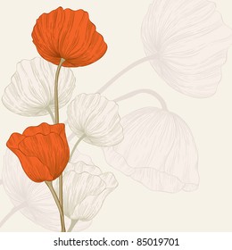 Vector vintage poppies flowers.