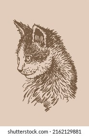 Vector vintage portrait of kitten looking left ,graphical illustration