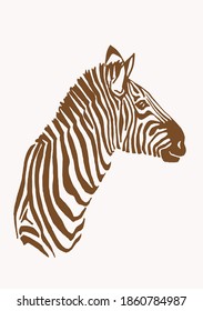 Vector vintage portrait of zebra,sepia background,  illustration