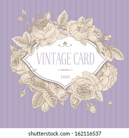 Vector vintage postcard. Frame sketch blooming roses on a purple background with stripes.