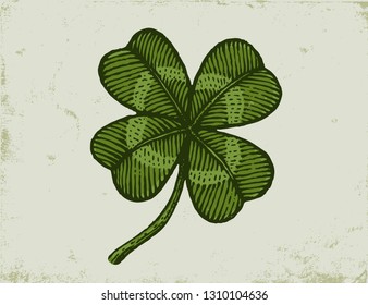 Vector vintage poster with clover for Patrick's day. Vintage green lucky clover on old paper in engraving style