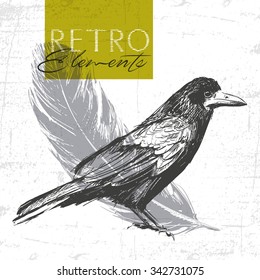 Vector vintage raven. Hand drawn illustration. See also other animals