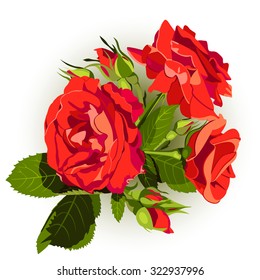 Vector of vintage roses on the white background. Beautiful floral design element