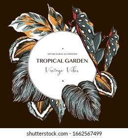 Vector vintage de hojas tropicales. Colección exótica casera natural. Ilustración floral interior sobre fondo negro.