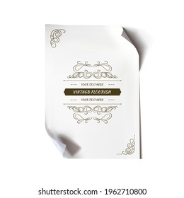 Vector Vintage Scroll Isolated on White Background with Vintage Frame.