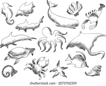 Vector vintage sea ​​animals isolated.Outline clipart on transparent background.Underwater set.Seashells, fish,dolphin,octopus,starfish,scallop,whale,crab. Template print for clothes,textiles