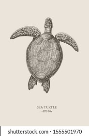 Vector vintage Sea Turtle. Excellent for the design of postcards, posters, stickers and so on.