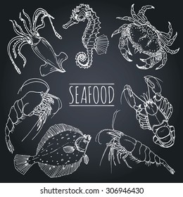 Vector vintage seafood sketches collection. Retro marine products drawings set. Hand drawn fish illustrations for restaurant, cafe menu, market ad.