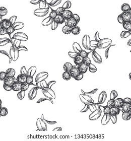Vector vintage seamless floral pattern with cowberry isolated on white, Hand drawn botanical texture with forest berries.