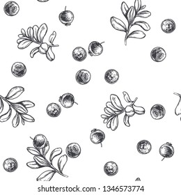 Vector vintage seamless floral pattern with cowberry isolated on white, Hand drawn botanical texture with forest berries.