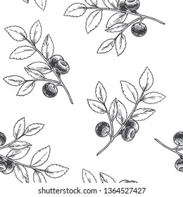 Vector vintage seamless floral pattern with blueberry isolated on white. Hand drawn botanical texture with forest berries in engraving style.