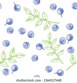 Vector vintage seamless floral pattern with blueberry isolated on white. Hand drawn botanical texture with forest berries in engraving style.