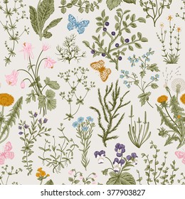 Vector vintage seamless floral pattern. Herbs and wild flowers. Botanical Illustration engraving style. Colorful