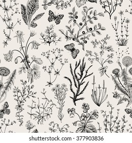 Vector Vintage Seamless Floral Pattern. Herbs And Wild Flowers. Botanical Illustration Engraving Style. Black And White.