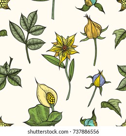 Vector vintage seamless floral pattern. Herbs and wild flowers. Botanical Illustration engraving style. Colorful