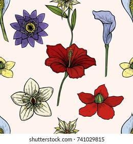 Vector vintage seamless floral pattern. Herbs and wild flowers. Botanical Illustration engraving style. Colorful